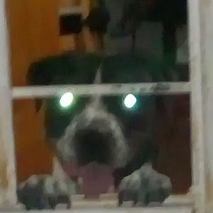 Meet your Posher, Javier eduardo